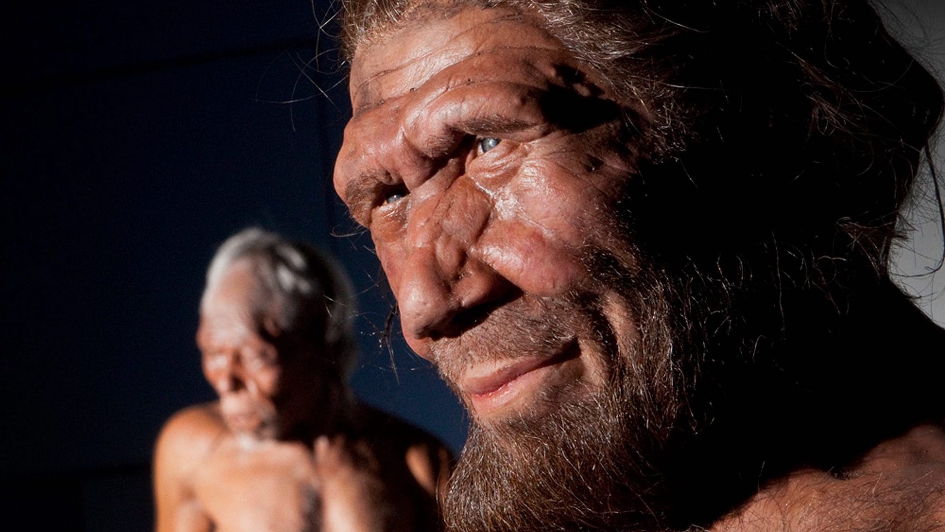 A neandervölgyiek apokalipszise